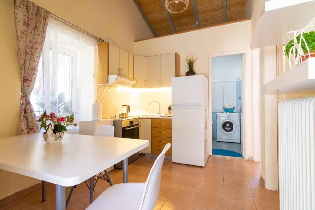 Thanos Cottage Vlachopoulátika Εξωτερικό φωτογραφία